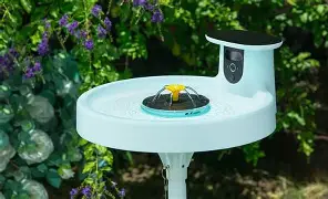 Gopro Lit Hero vs Birdfy Bird Bath Pro Review: Performance, Price, and Verdict